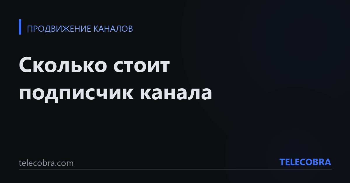 Сколько стоит подписчик канала